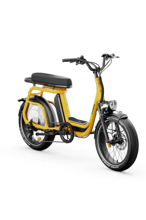 Elwing Ritmic Duo vélo électrique cargo biplace