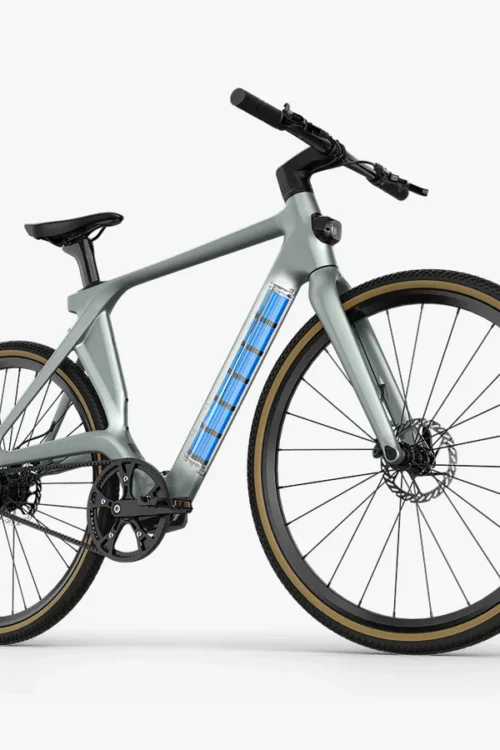 Fiido Air Vélo Électrique en Fibre de Carbon