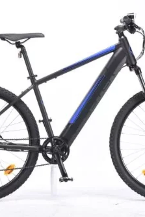 Vélo électrique TVT Faster 12,8 Ah à assistance