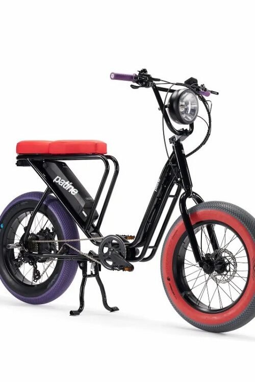 Vélo cargo électrique le Bolide x Patine