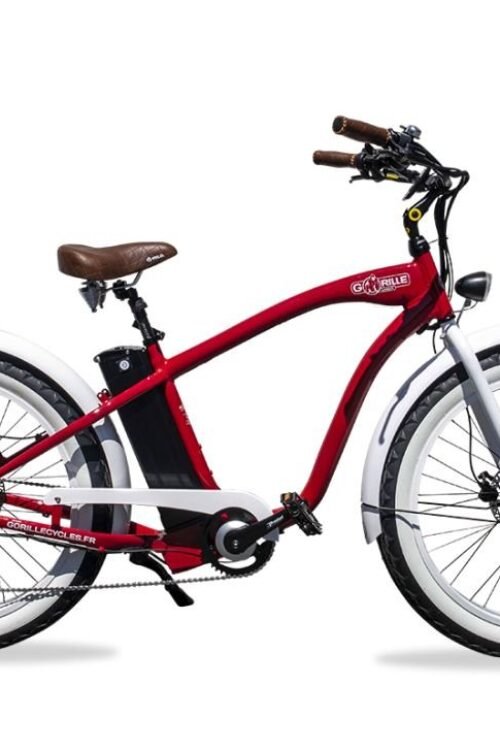 Vélo électrique Gorille Mâle