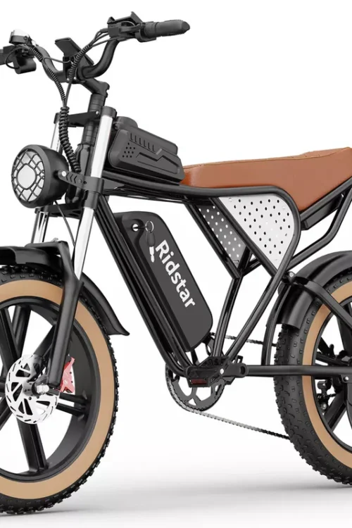 Vélo électrique Ridstar Q20 1500 W