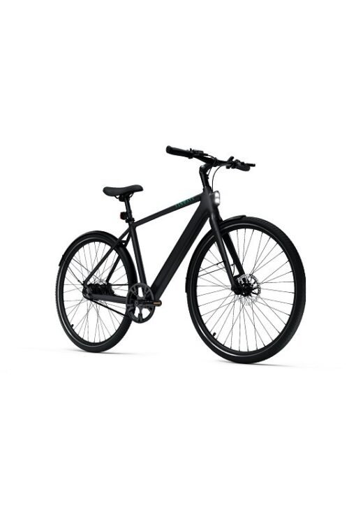 Vélo électrique Tenways CGO600 Pro