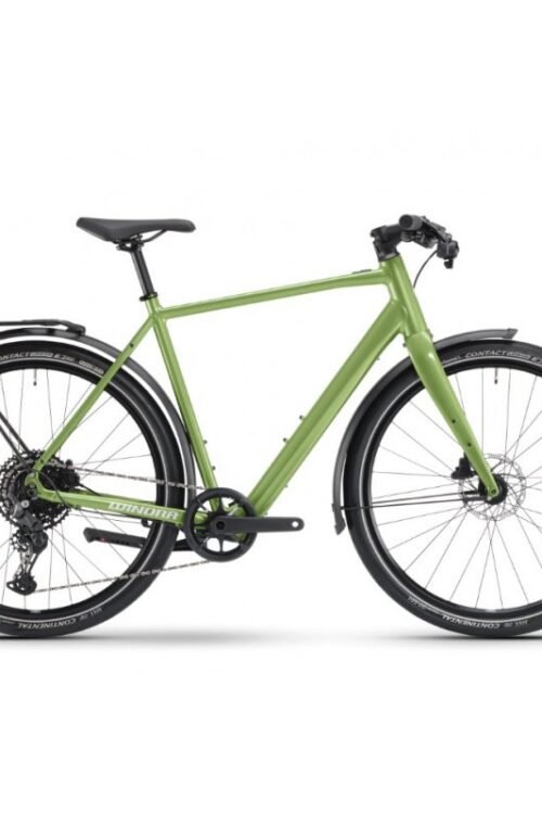 Vélo électrique Winora E-Flitzer