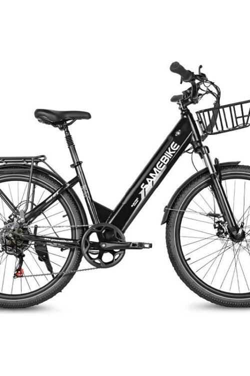 Vélo électrique urbain SAMEBIKE RS-A01 Pro-T 250W Moteur