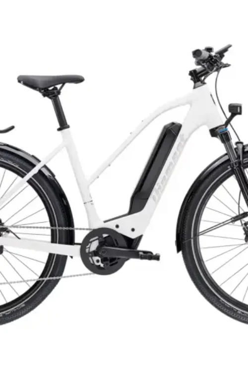 Vélo électrique DIAMANT Zing Génération 2 Cues 400Wh Tr